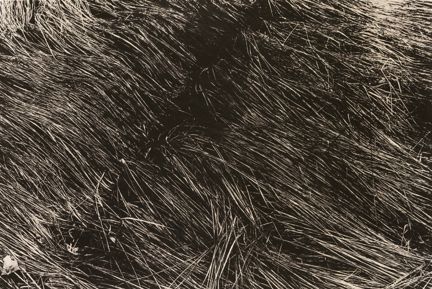 z cyklu bez tytułu, nr neg. 1067/25